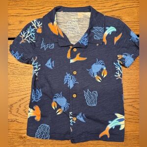 Carter’s Kids Cotton Aloha Shirt